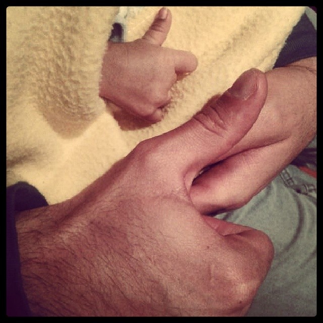 Crea comunidades. Foto: Abner Vélez Ortiz