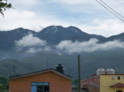 1937382_131039475862_7778580_n